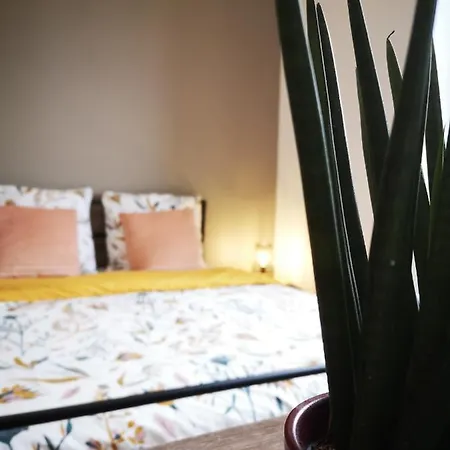 Le Petit Cocon De La Poste * 구르동-앙-케르시