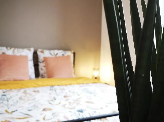 Le Petit Cocon De La Poste * Gourdon-en-quercy